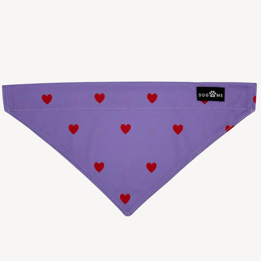 Cœurs - Violet - Bandana pour chien