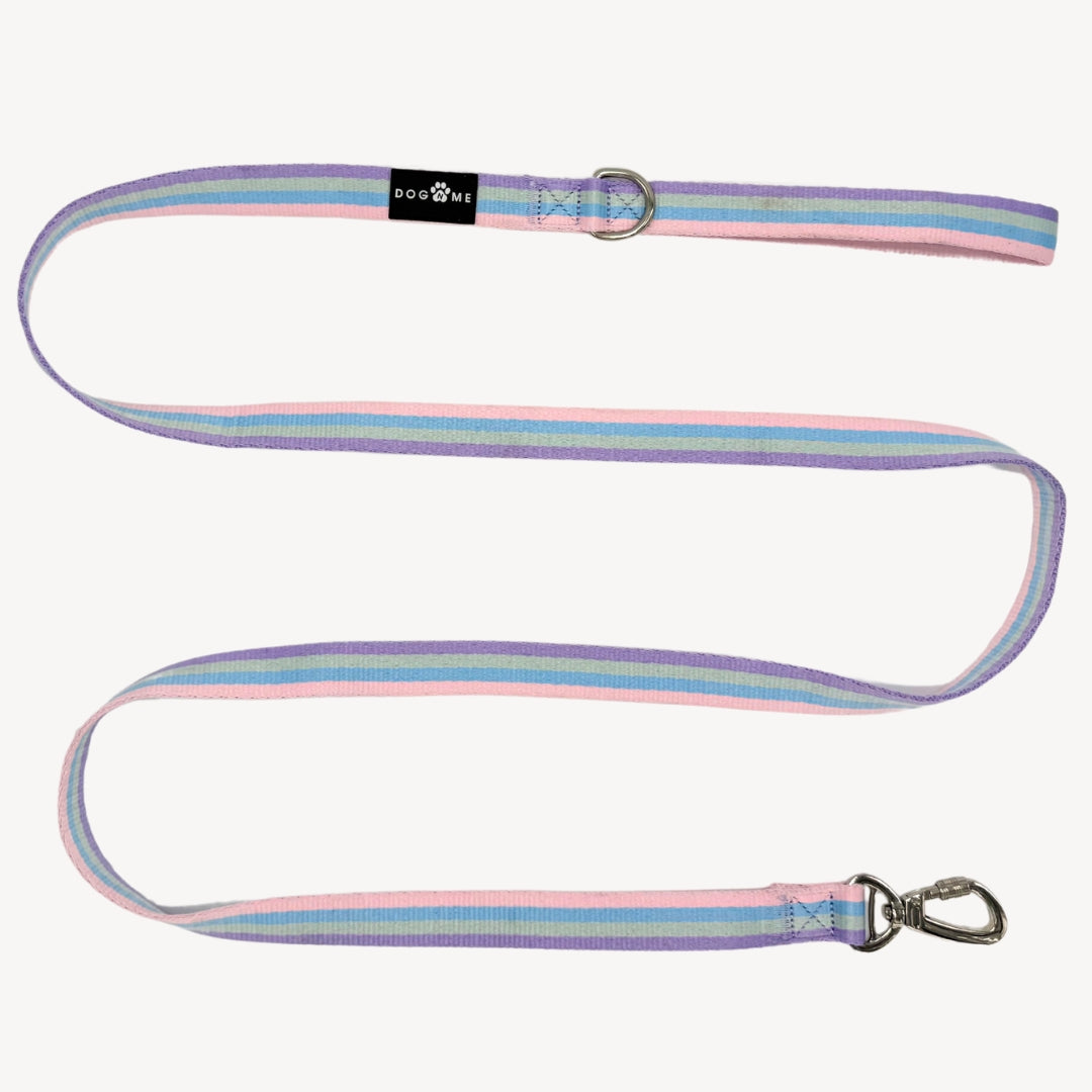 Rainbow - Dog Leash