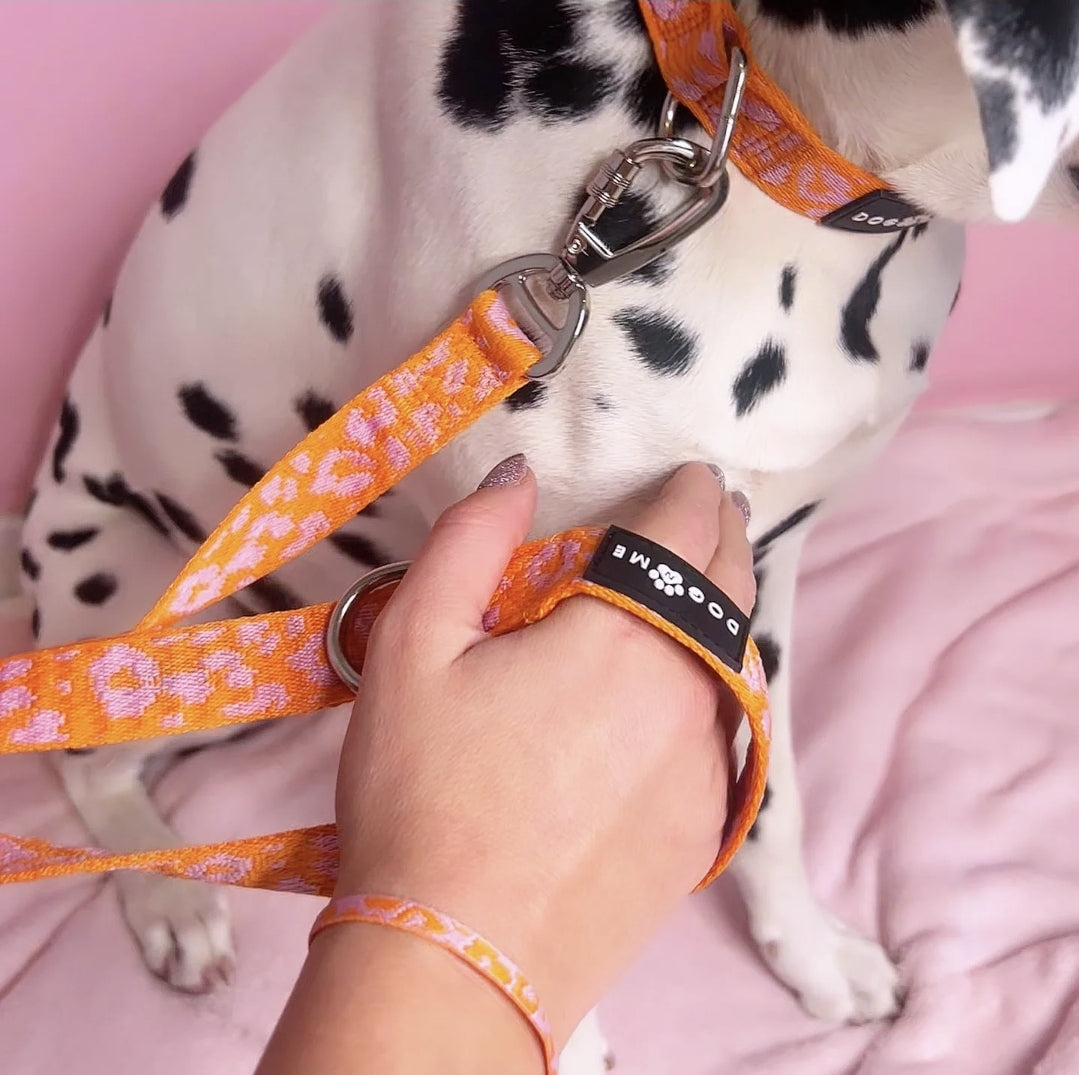 Panther - Orange/Pink - Dog Leash