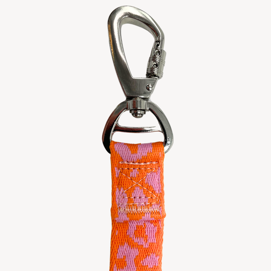 Panther - Orange/Pink - Dog Leash