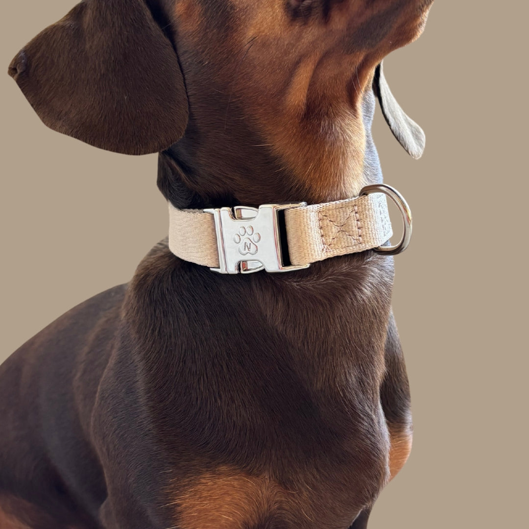 Solid - Sand - Dog Collar