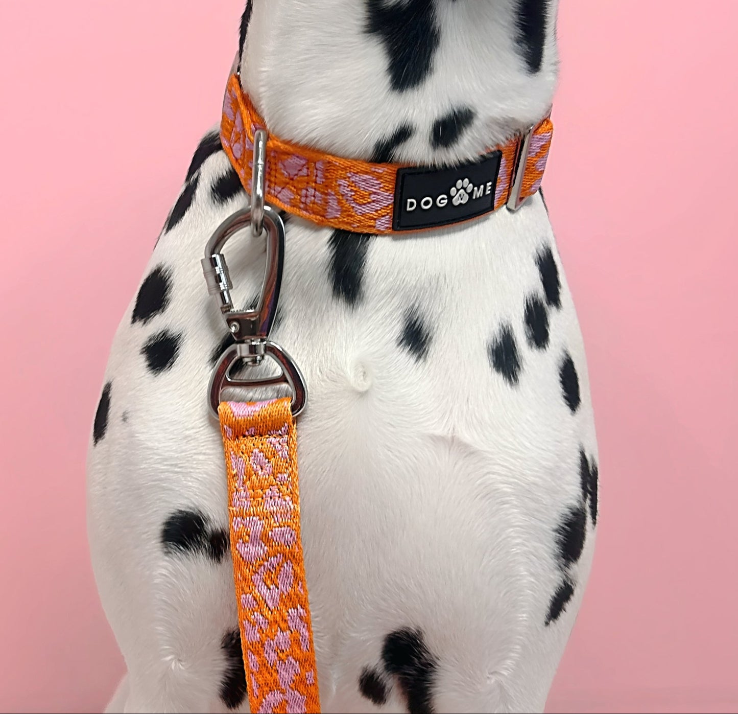 Panther - Orange/Pink - Dog Leash