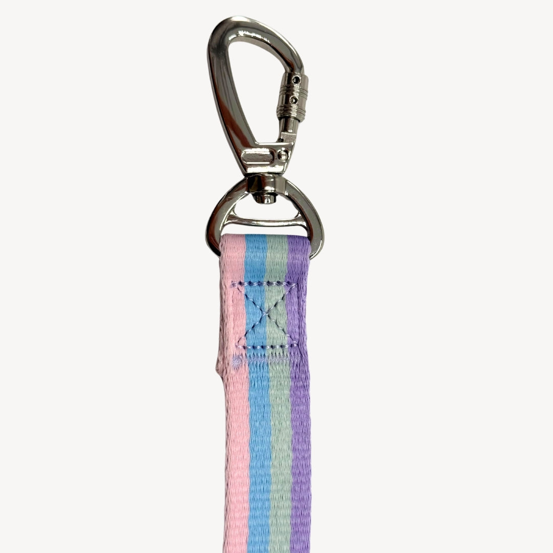 Rainbow - Dog Leash