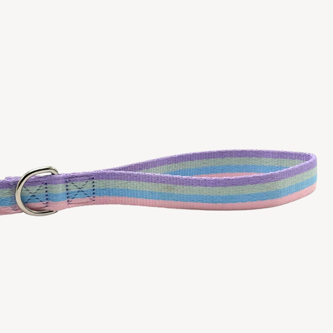 Rainbow - Dog Leash
