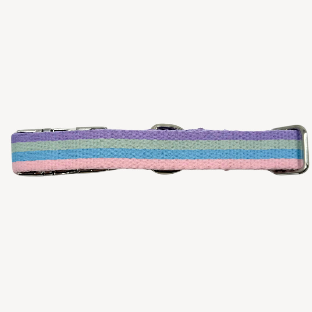 Rainbow - Trail Hunter Duo Set