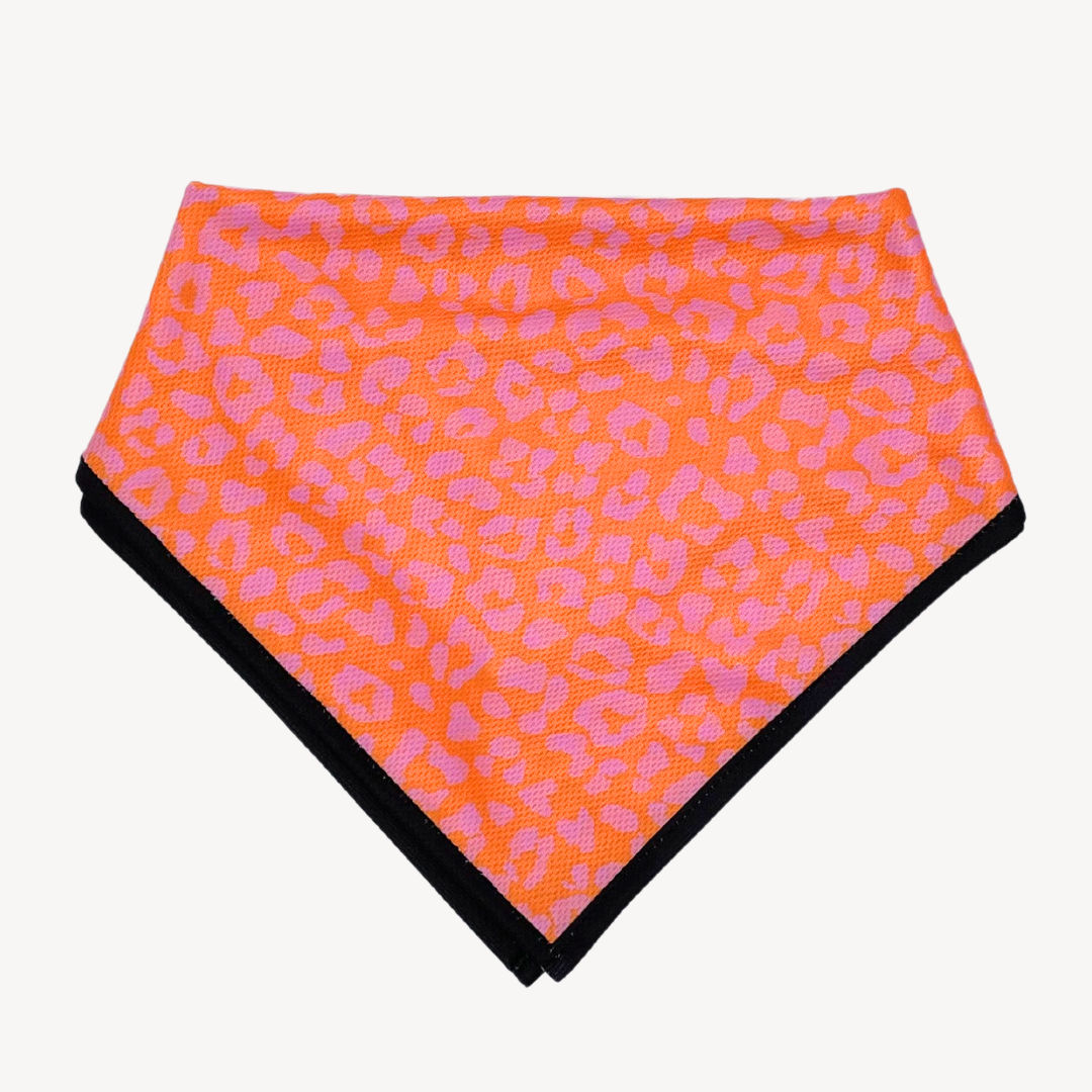 Panther - Orange/Pink - Matching Bandanas Set