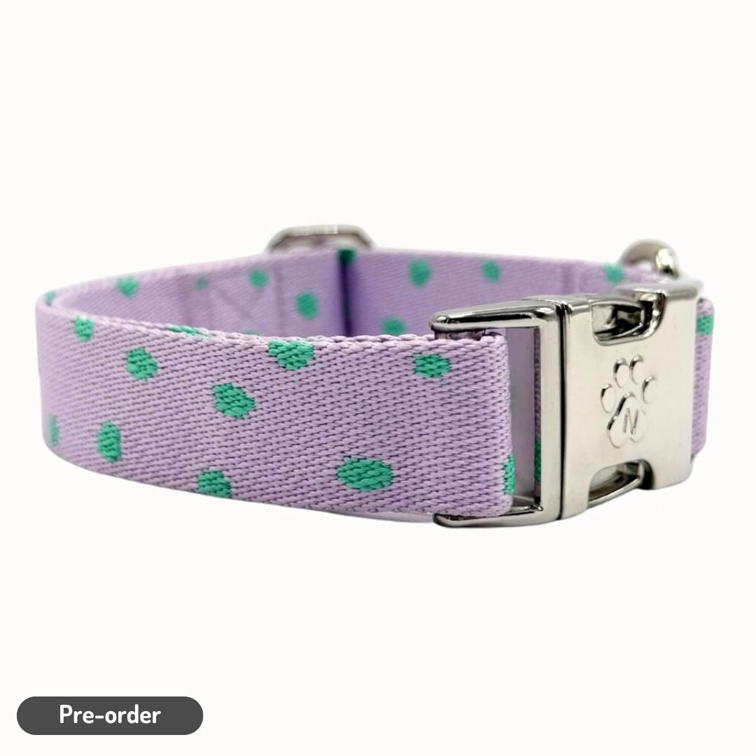 Polkadot - Collier pour chien