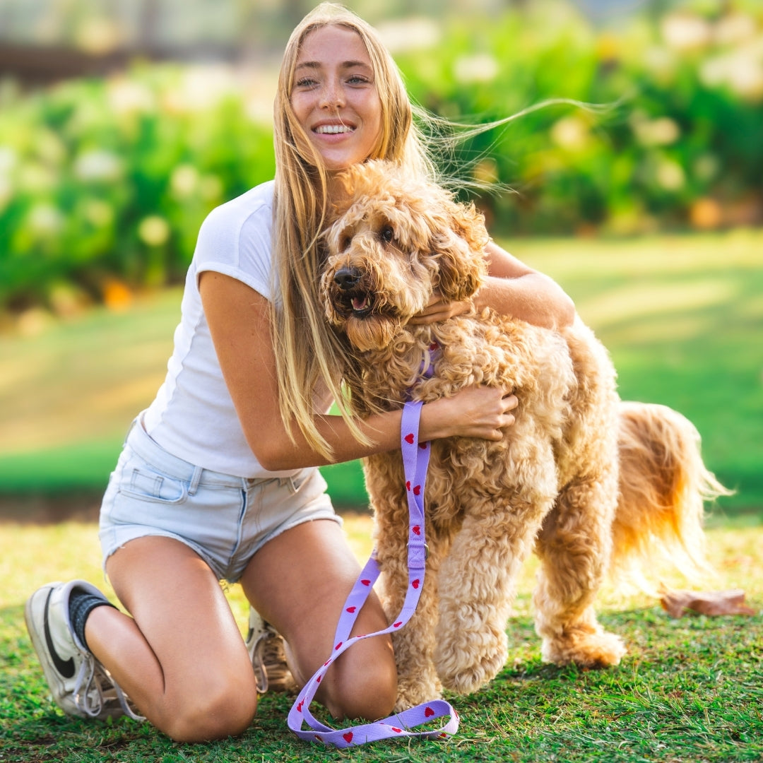 Hearts - Purple - Dog Leash