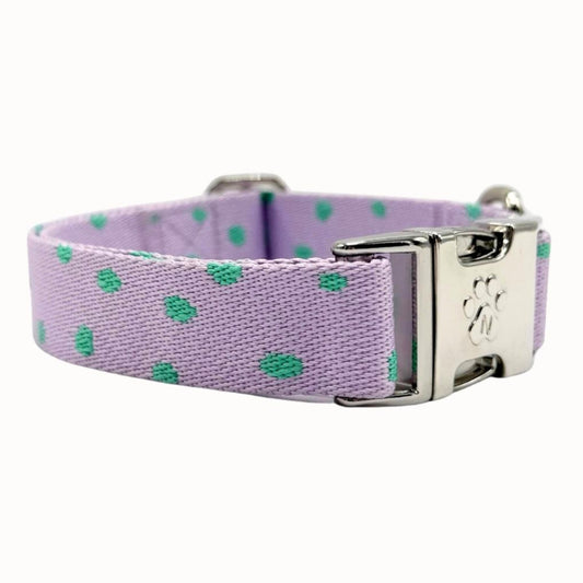 Polkadot - Dog Collar