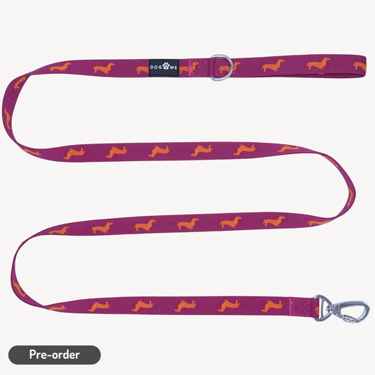 Dachshunds - Dog Leash