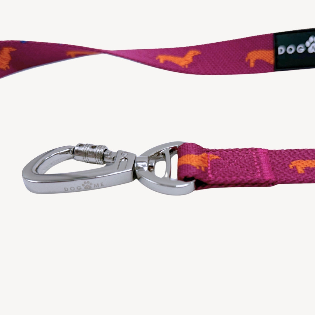 Bassotti - Guinzaglio per Cani