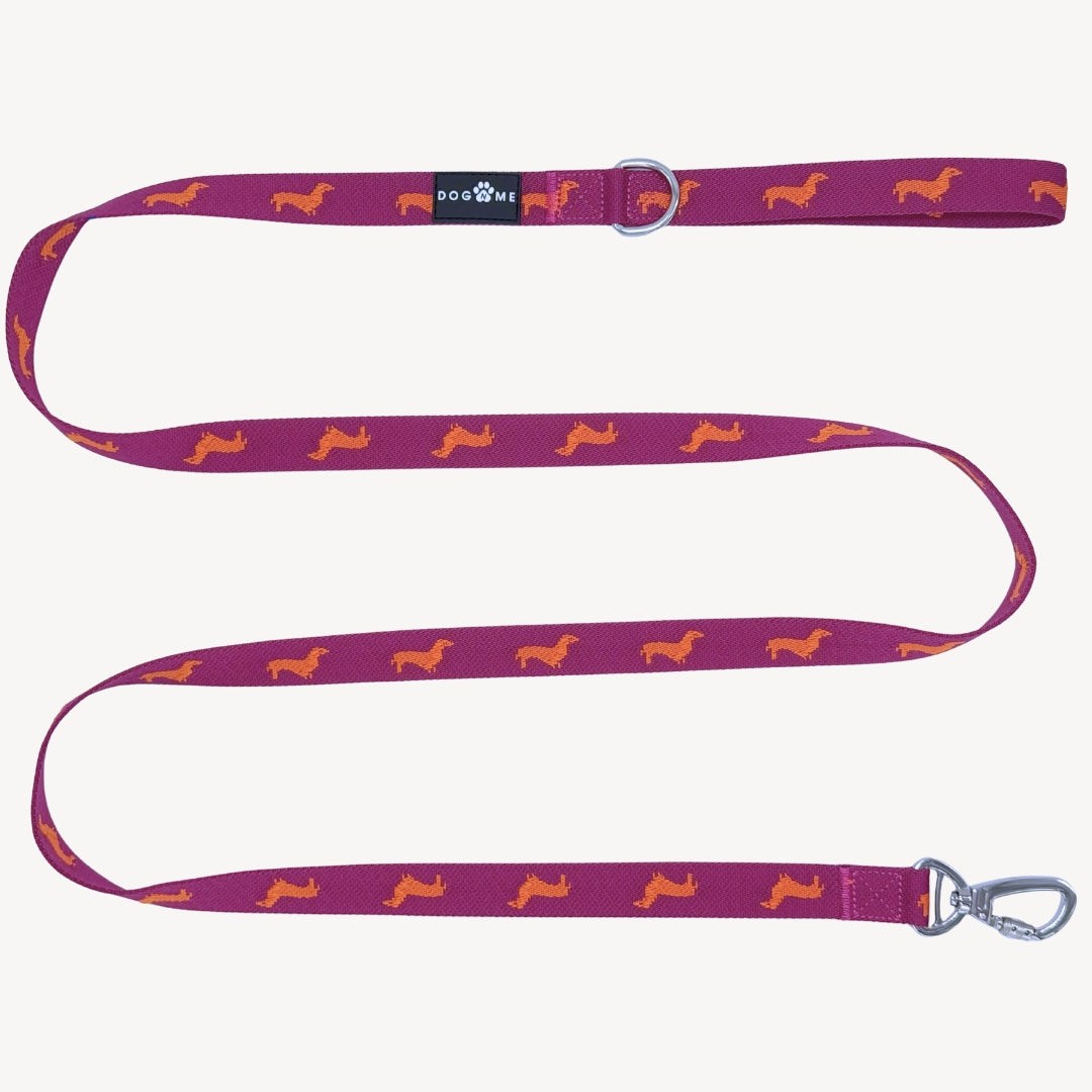 Dachshunds - Dog Leash