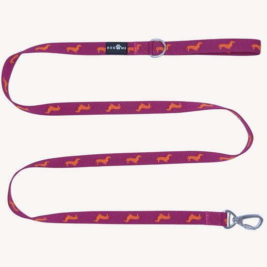 Dachshunds - Dog Leash