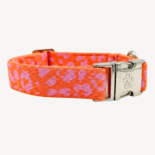 Pantera 2.0 - Arancione/Rosa - Collare per Cani