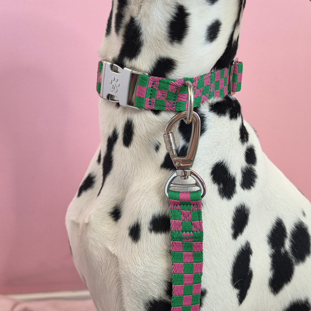 Candy Check - Urban Carry Set
