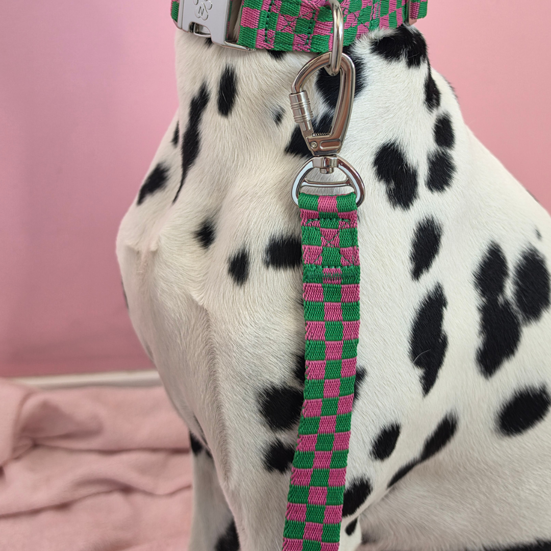 Candy Check - Urban Carry Set