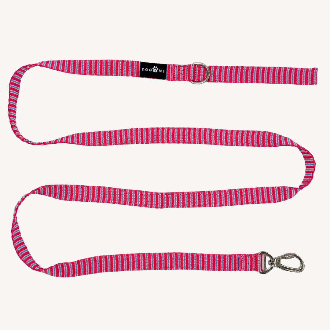 Riviera  - Dog Leash