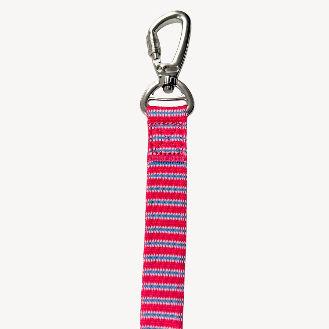 Riviera  - Dog Leash