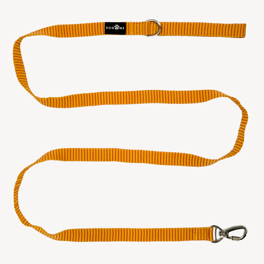 Pinstripe - Guinzaglio per Cani