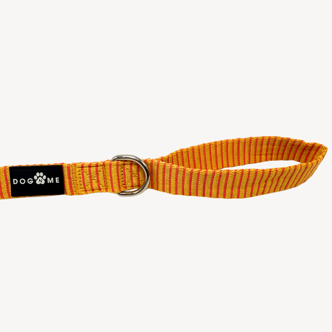 Pinstripe  - Dog Leash