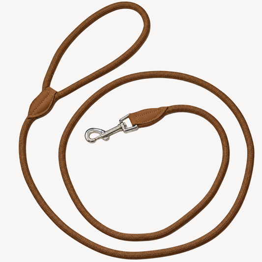 Daily – Marron – Laisse pour Chien