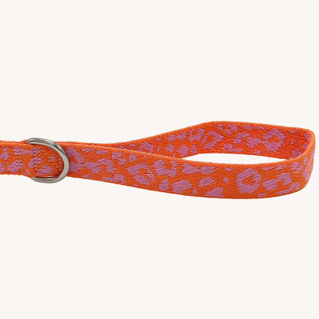 Panther - Orange/Pink - Dog Leash