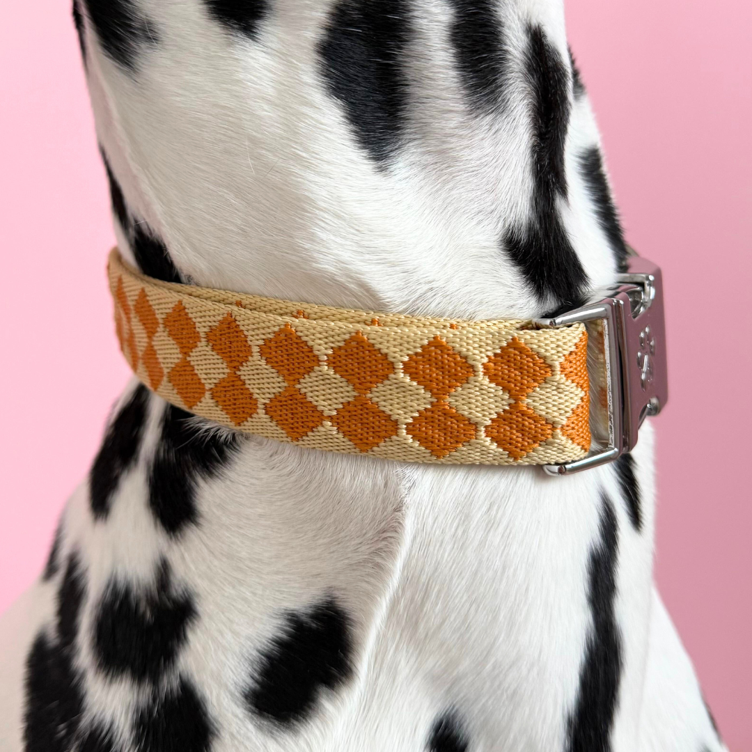 Checkers - Dog Collar