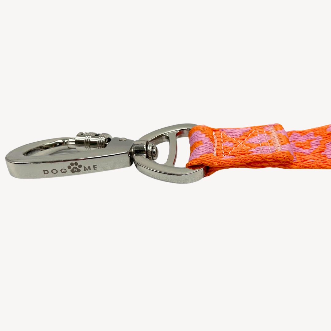 Panther - Orange/Pink - Dog Leash