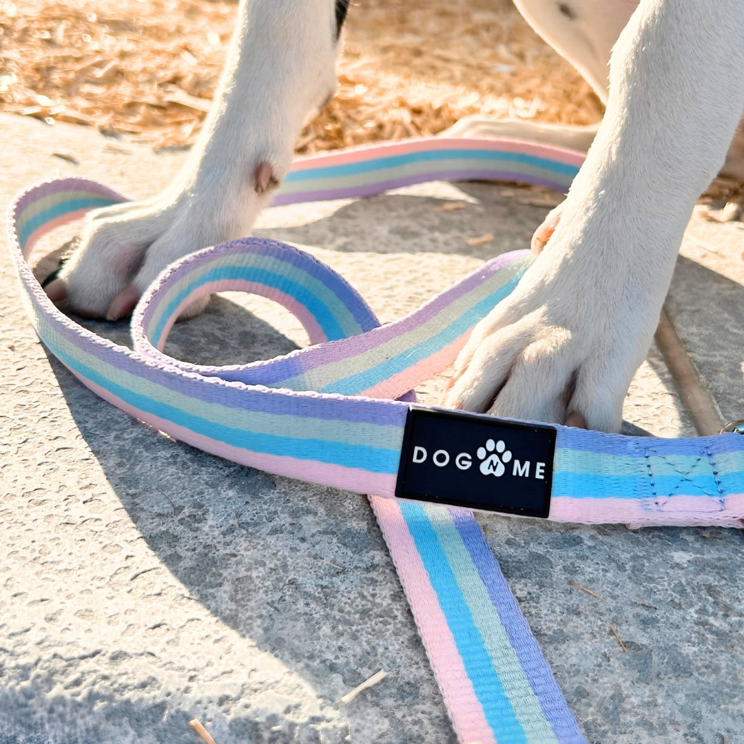 Rainbow - City Walk set