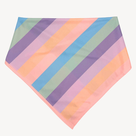 Rainbow - Bandana
