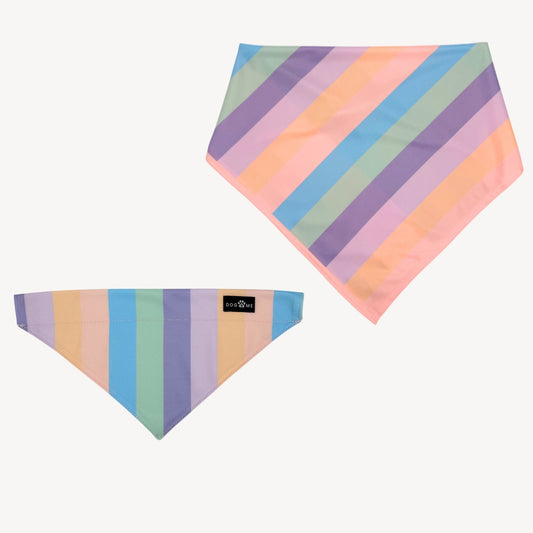 Rainbow - Matching Bandanas Set