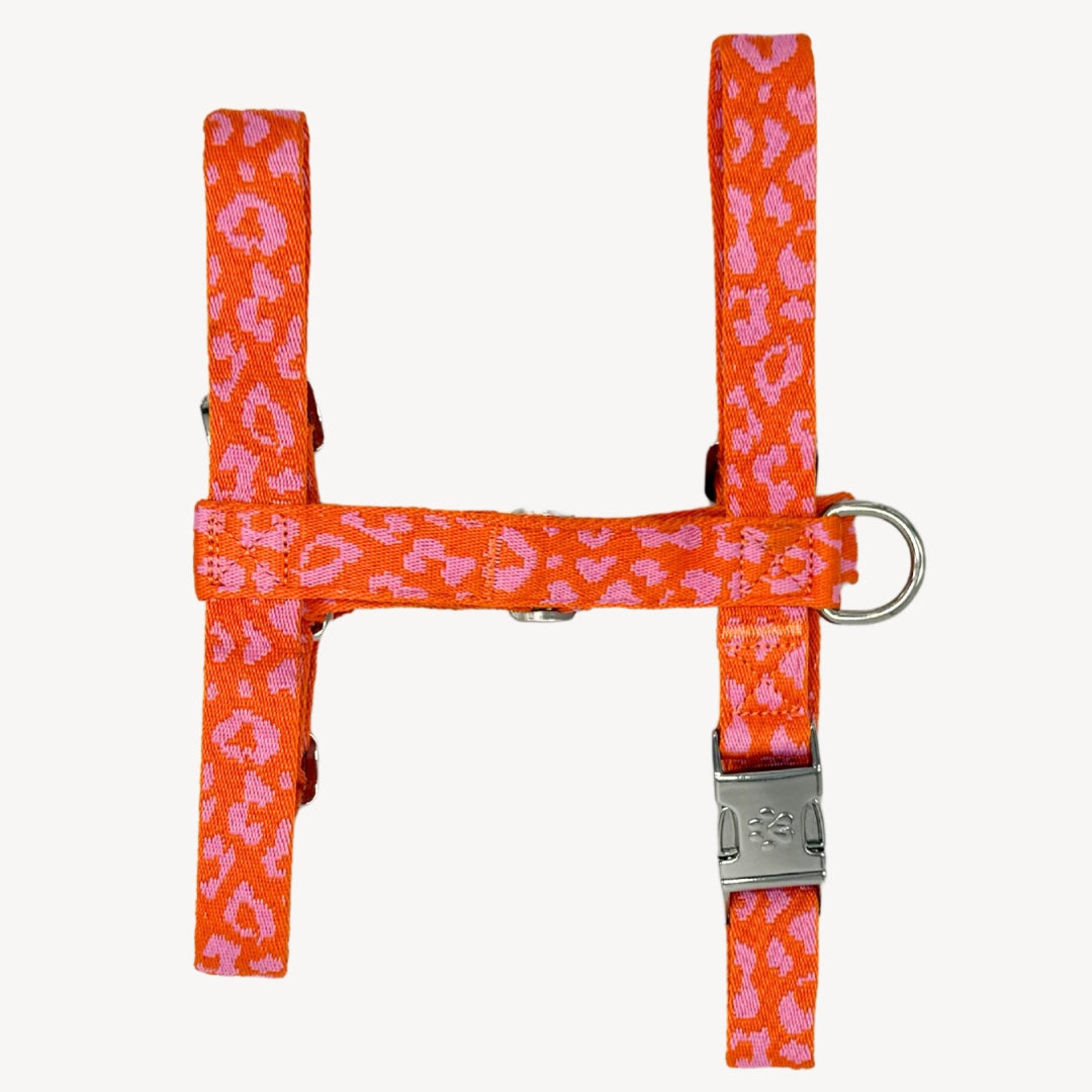 Pantera - Arancione/Rosa - Pettorina per Cani