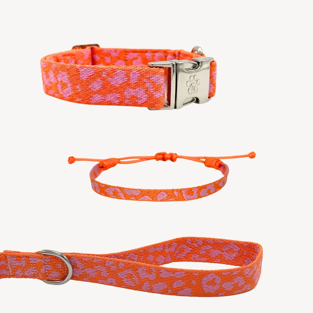 Pantera 2.0 - Arancione/Rosa - Matching Paws Set
