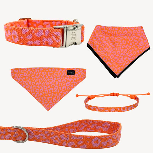Pantera 2.0 - Arancione/Rosa - Trail Hunter Ultra Set