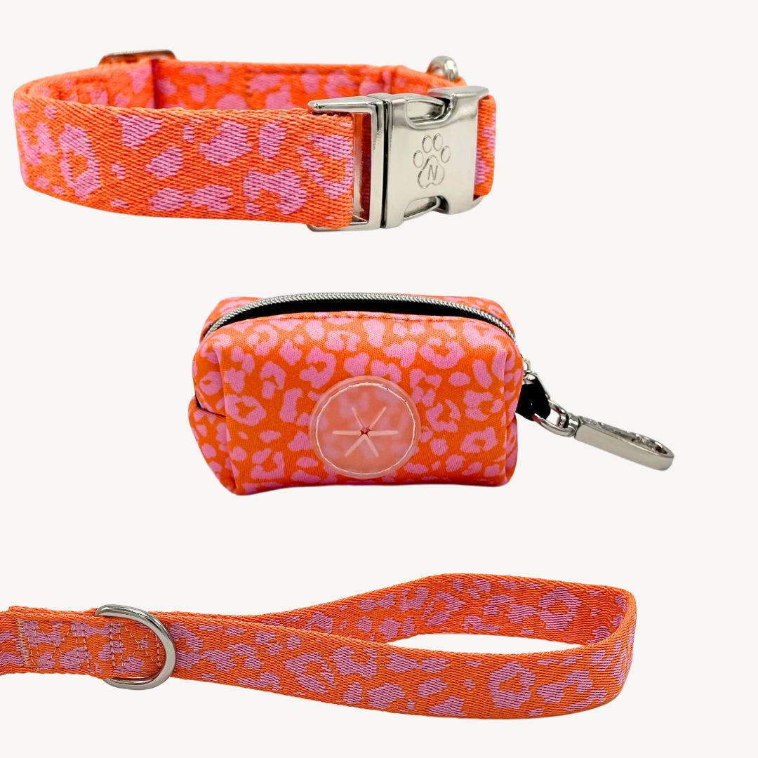 Panther - Orange/Pink - City Walk set