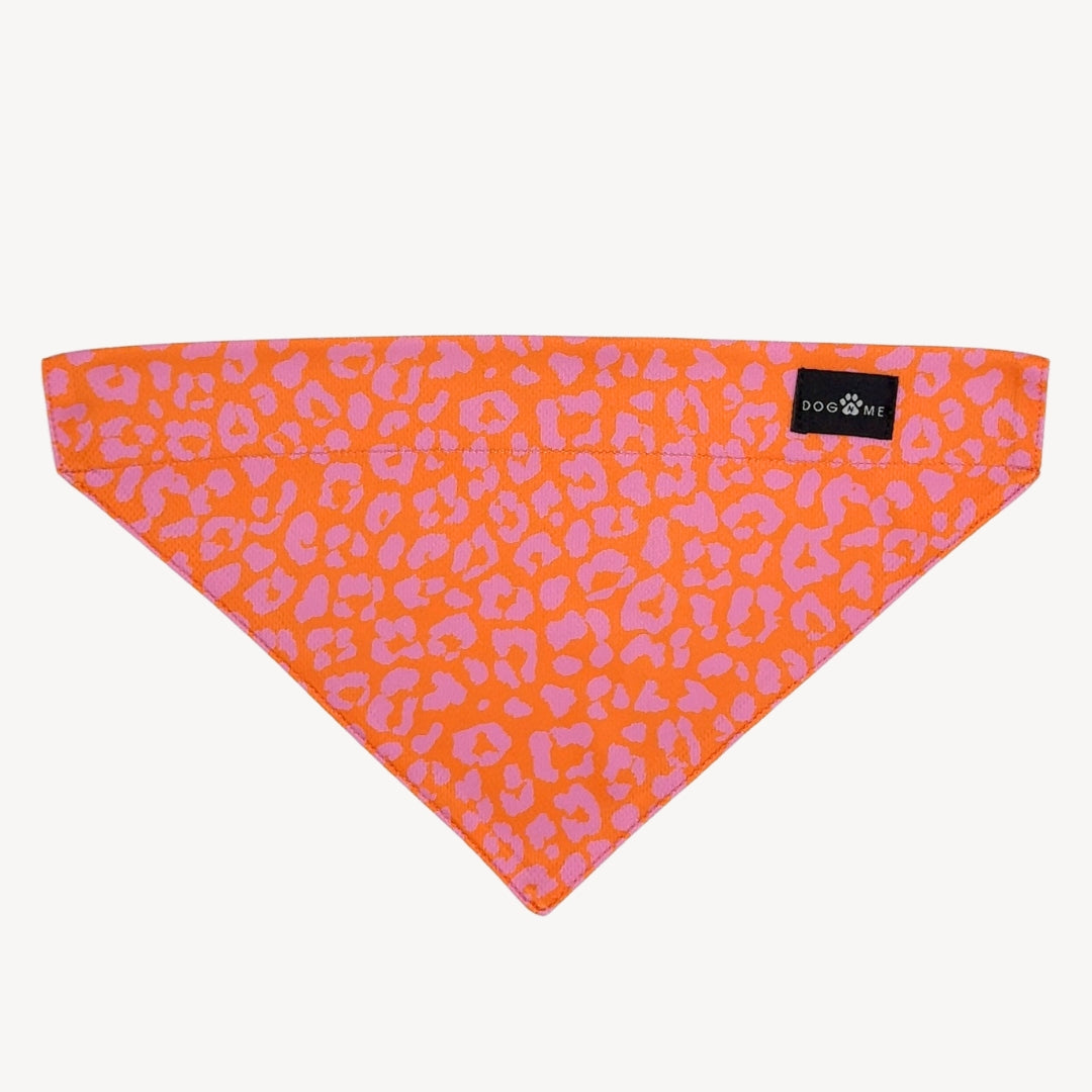 Panther - Orange/Pink - Matching Bandanas Set