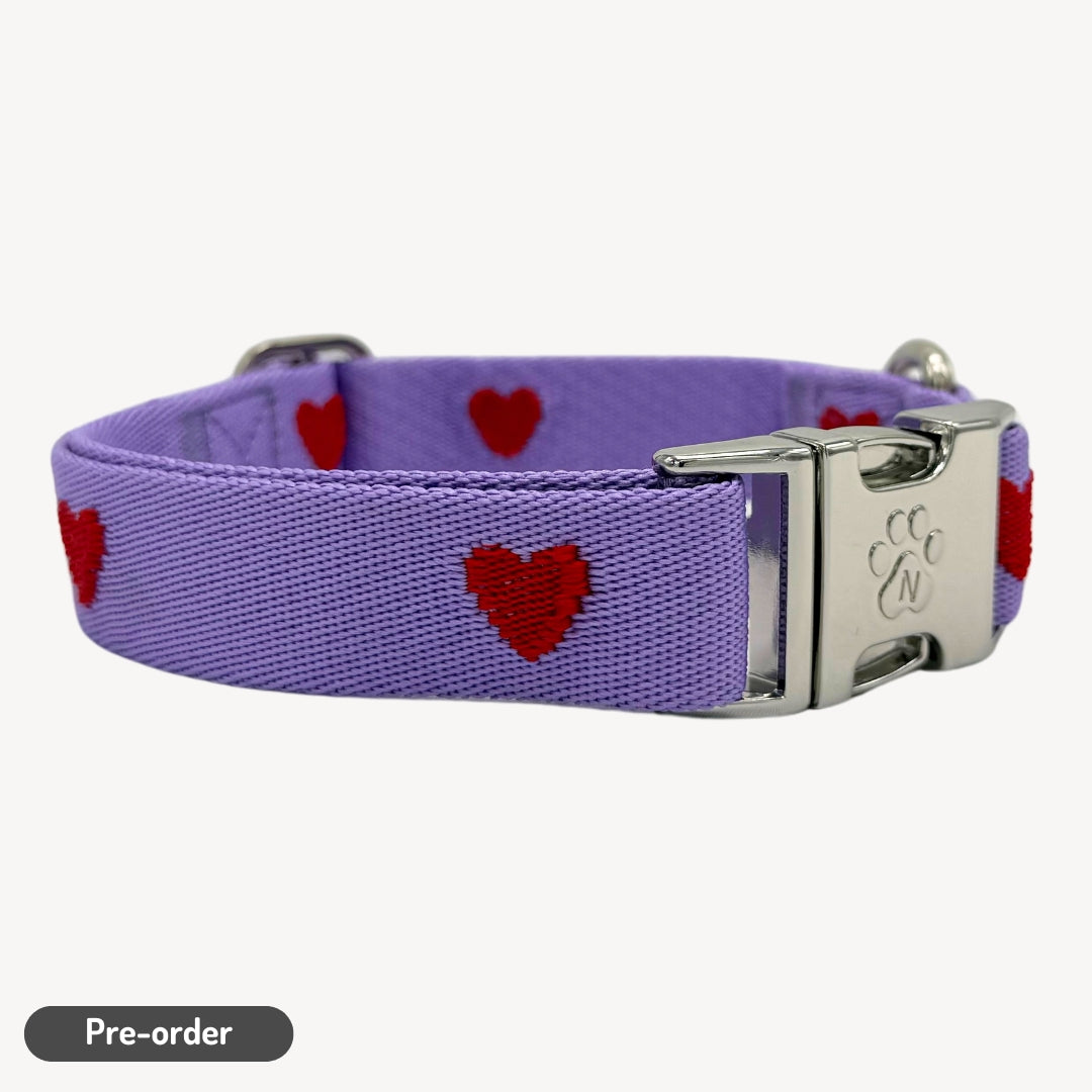 Hearts - Purple - Dog Collar