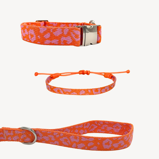 Panther - Orange/Pink - Matching Paws set