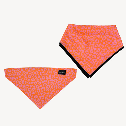 Panther - Orange/Pink - Matching Bandanas Set