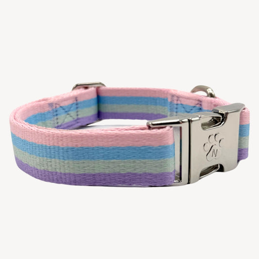 Rainbow - Dog Collar